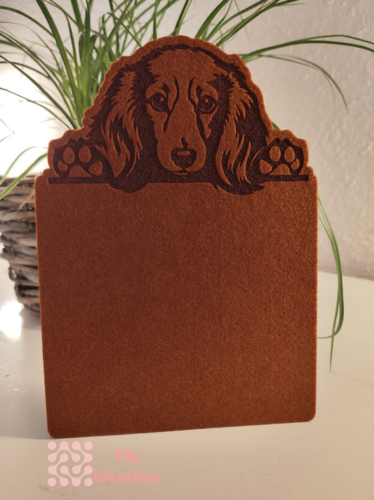 Türschild Dackel langhaar