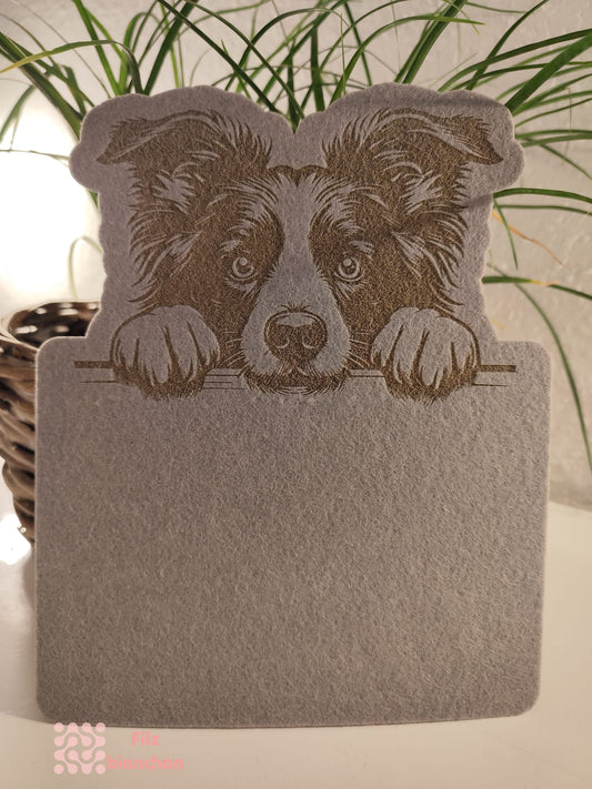 Türschild Border Collie