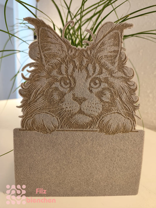 Türschild Maincoon graviert