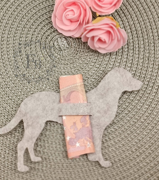 Entlebucher mit Schlitz Geld