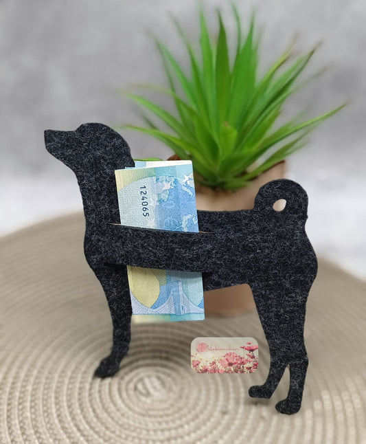 Appenzeller mit Schlitz Geld