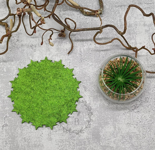 Untersetzer F 4er Set