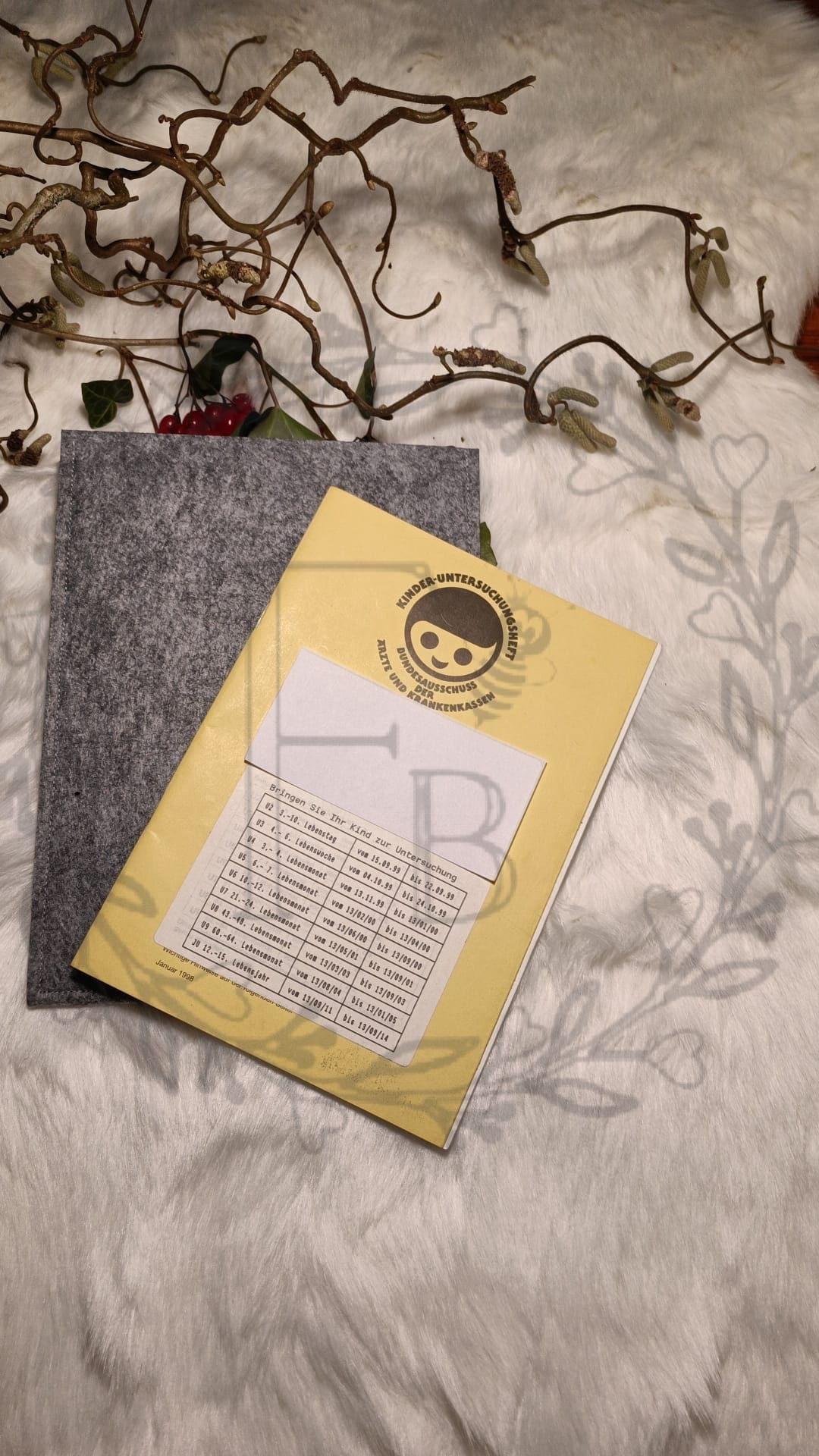 Untersuchungshefthülle zum Einstecken