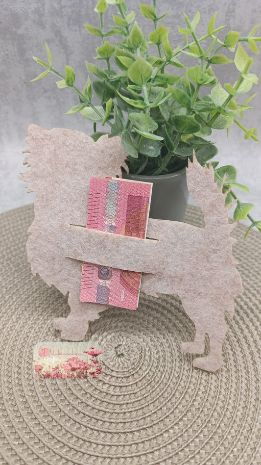 Langhaar Chihuahua mit Schlitz Geld