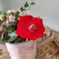 Lollifigur Blume D, 6er Set, Stückpreis 0,63€ zzgl. Mwst.