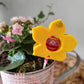 Lollifigur Blume C, 6er Stückpreis 0,53€ zzgl. Mwst.