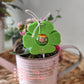 Lollifigur Blume A 6er Set Stückpreis  0,53€ zzgl. Mwst