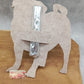 Mops A mit Schlitz Schokolade