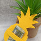 Ananas ohne Gravur mit Schlitz Geld