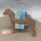 Schweizer Sennenhund mit Schlitz Geld