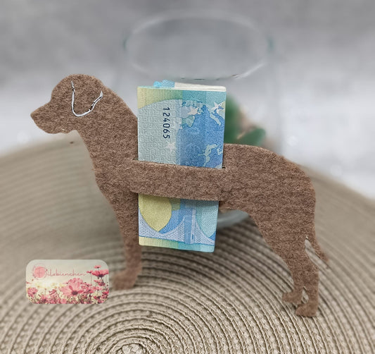 Schweizer Sennenhund mit Schlitz Geld