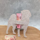 Mops B mit Schlitz Geld